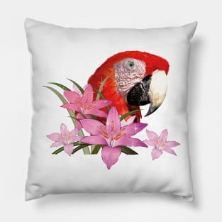 Macaw Macaw Pillow