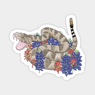 western diamondback rattlesnake in Texas bluebonnets and Indian paintbrush flowers design Magnet