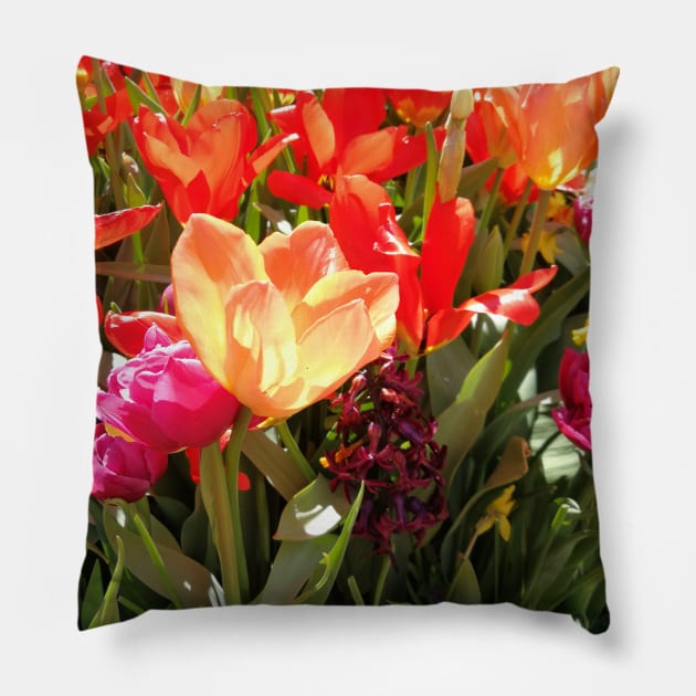 Tulips at the Empress Pillow by MirandaMarcy