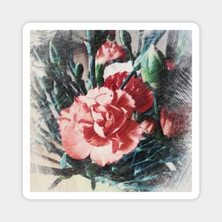 Red carnation Magnet