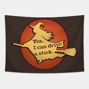 Yes, I can drive a stick Tapestry