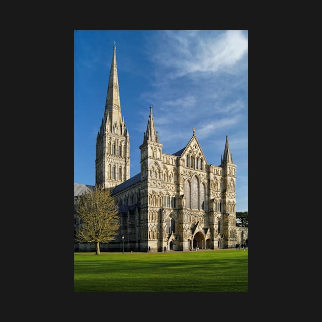 Salisbury Cathedral by galpinimages