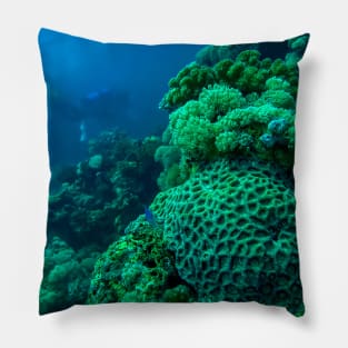 Red Sea Coral Reef Pillow