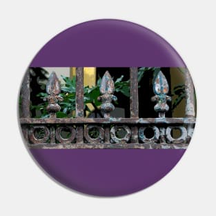 FLEUR DE LIS FENCE Pin