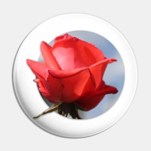 Red Rose Pin