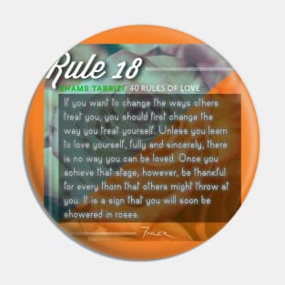 40 RULES OF LOVE - 18 Pin