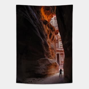 Exploring Petra Tapestry