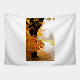 Fall Colors Tapestry