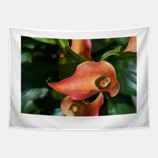 Red calla flowers closeup Tapestry