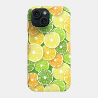 Citrus fruit slices pop art 3 Phone Case