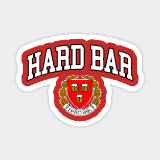 Hard Bar Magnet