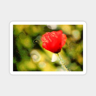 Poppy Magnet