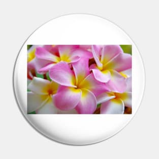 Pretty in Pink Pin