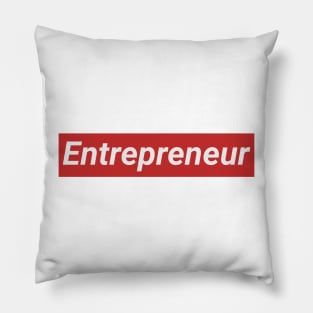 Entrepreneur Pillow