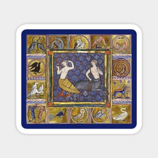 MEDIEVAL BESTIARY,HARPY AND CENTAUR, FANTASTIC ANIMALS IN GOLD RED BLUE COLORS Magnet