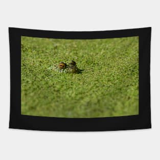 Duck Weed Eyes Tapestry