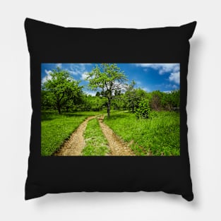 Rural road through meadow Pillow