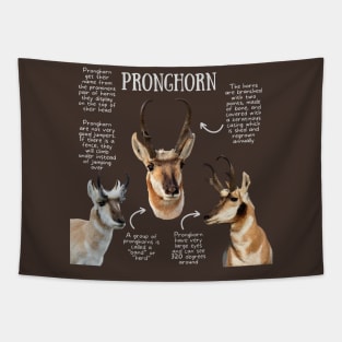 Animal Facts - Pronghorn Tapestry