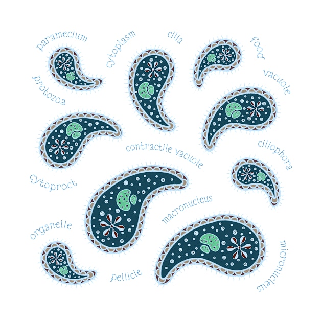 Turquoise Paramecia Paisley by Mozartini