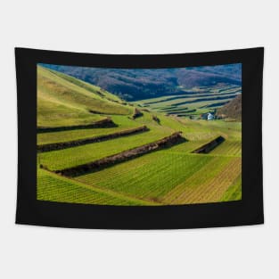 Kaiserstuhl, South-West Germany Tapestry