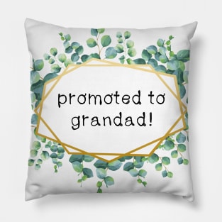 promoted to grandad Pillow