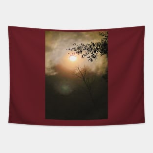 Moonlight - Clouds - Night - Trees Tapestry