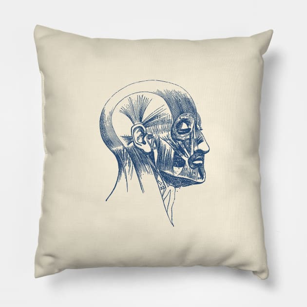 Facial Muscle Diagram - Vintage Anatomy Pillow by Vintage Anatomy Prints