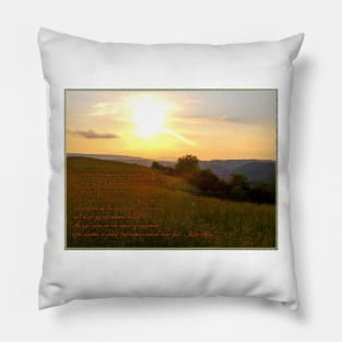 Monroe Fence line 2 Pillow