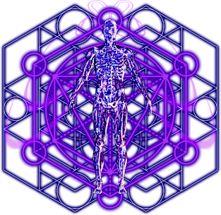 Sacred Geometry and the Human Body Magnet