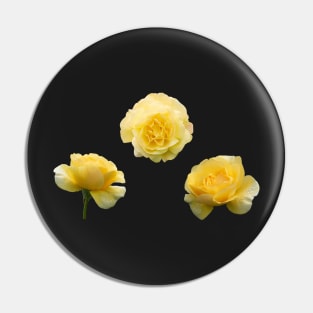 Yellow Aesthetic Garden Roses Sticker Pack Pin