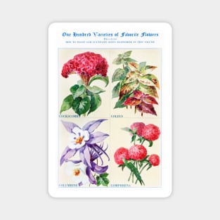 Flower watercolor illustration (1915) Magnet