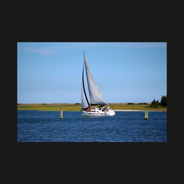 Sailing At Masonboro Island by Cynthia48