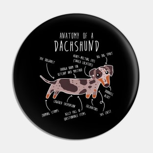 Red Dapple Dachshund Dog Anatomy Pin
