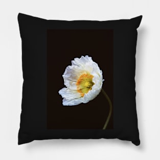 Papaver Nudicaule Pillow