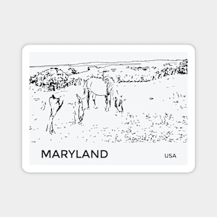 Maryland USA Magnet