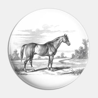 Horse in a landscape Pin