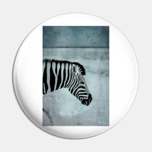 Zebra Pin