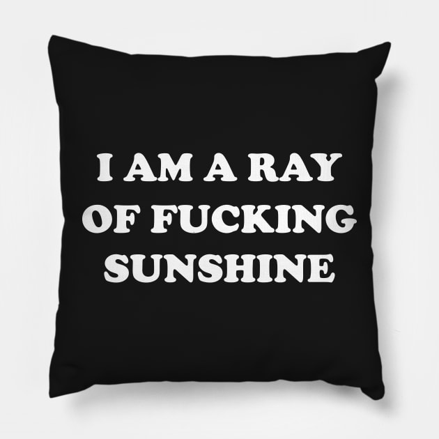 I Am a Ray Of Fucking Sunshine Pillow by TheArtism