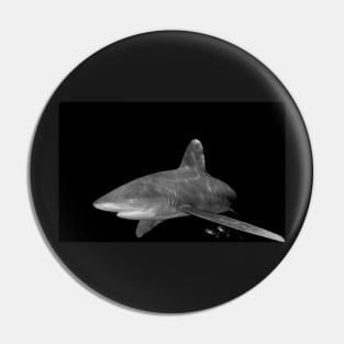 An Oceanic White Tip Shark and Pilot Fish in Black and White Pin