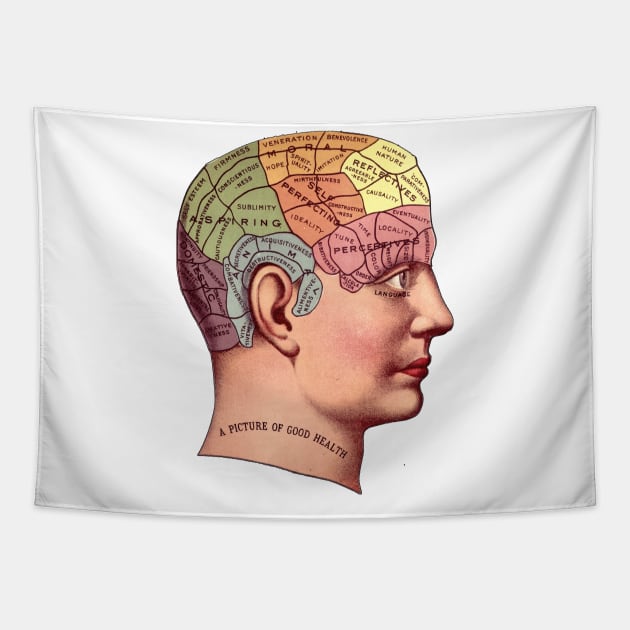 A Picture of Good Health - Vintage Brain Mapping Illustration Tapestry by Naves