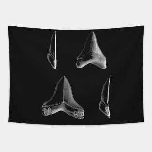 Shark Teeth | Great White Megalodon Fossils Tapestry