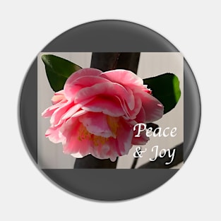 Peace And Joy - Pink And White Camellia Bloom Pin