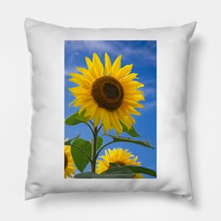 Sunflower Pillow