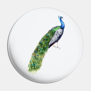 Green Peacock Pin