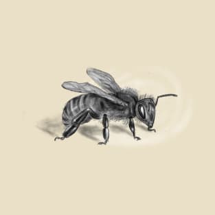 Bee illustration T-Shirt