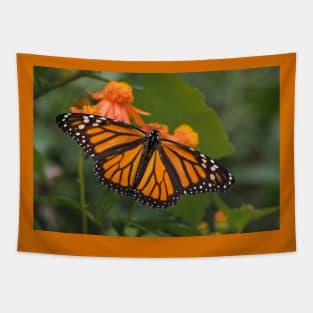 Monarch Wings Spread Wide on Mexican Flame Tapestry