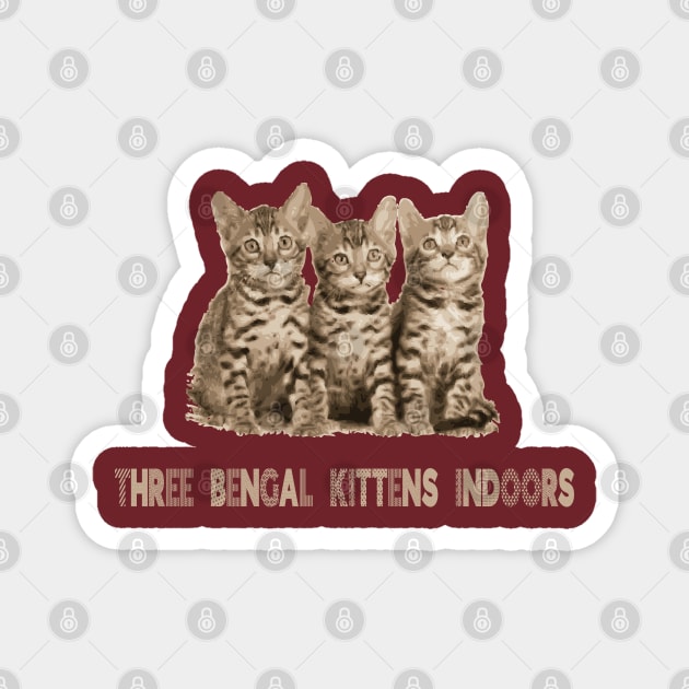 Three Bengal kittens indoors Magnet by KMLdesign