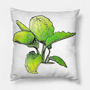 Calathea Pillow