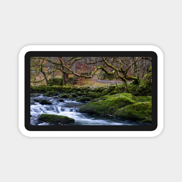 River Rothay Magnet by jldunbar