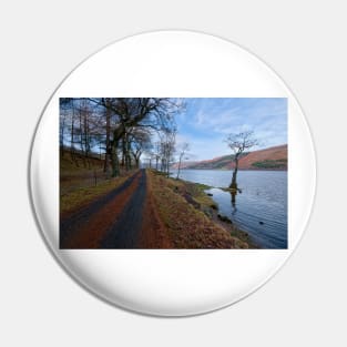 Loch Earn Pin